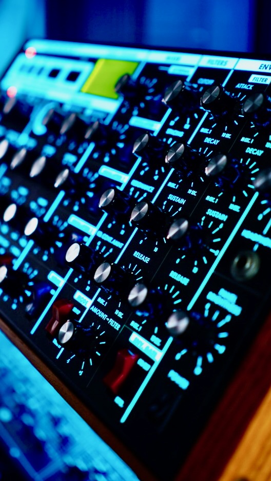 Moog panel detail